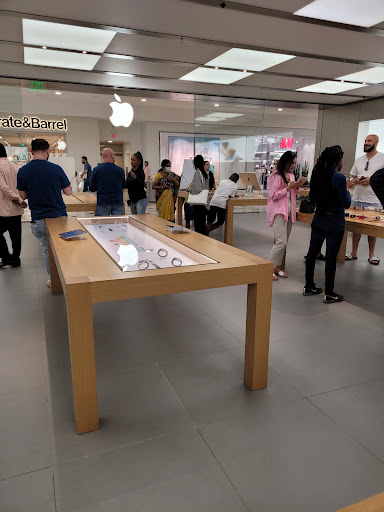 Shopping Mall «Twelve Oaks Mall», reviews and photos, 27500 Novi Rd, Novi, MI 48377, USA