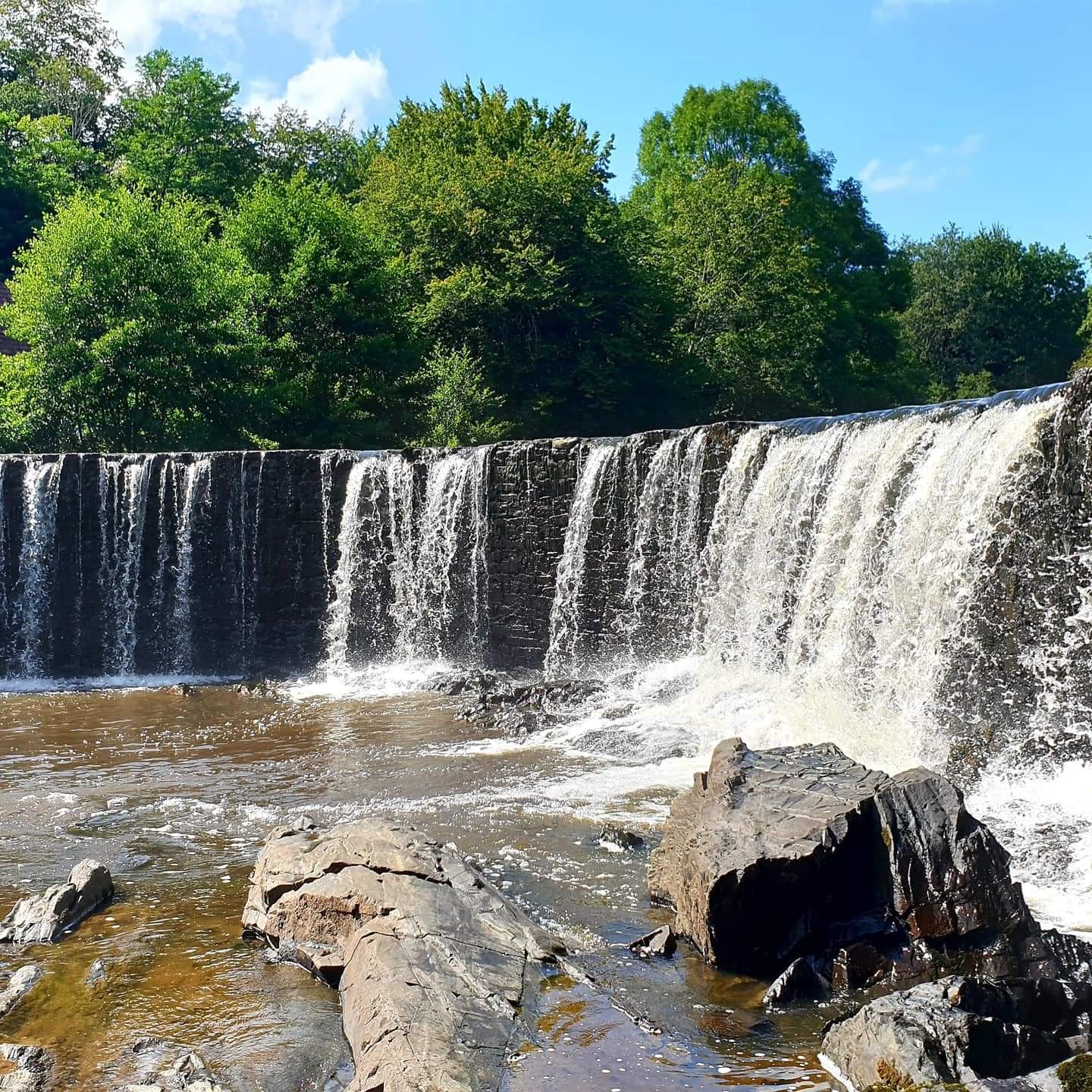 Photo n° 2 de l'avis de sacha. fait le 09/08/2021 à 09:08
