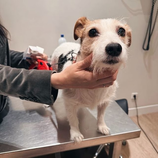 Hospital Veterinario Retiro en Madrid