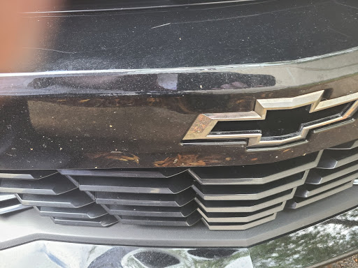 Auto Body Shop «NP BODY SHOP», reviews and photos, 284 SW 6th Ave, Homestead, FL 33030, USA