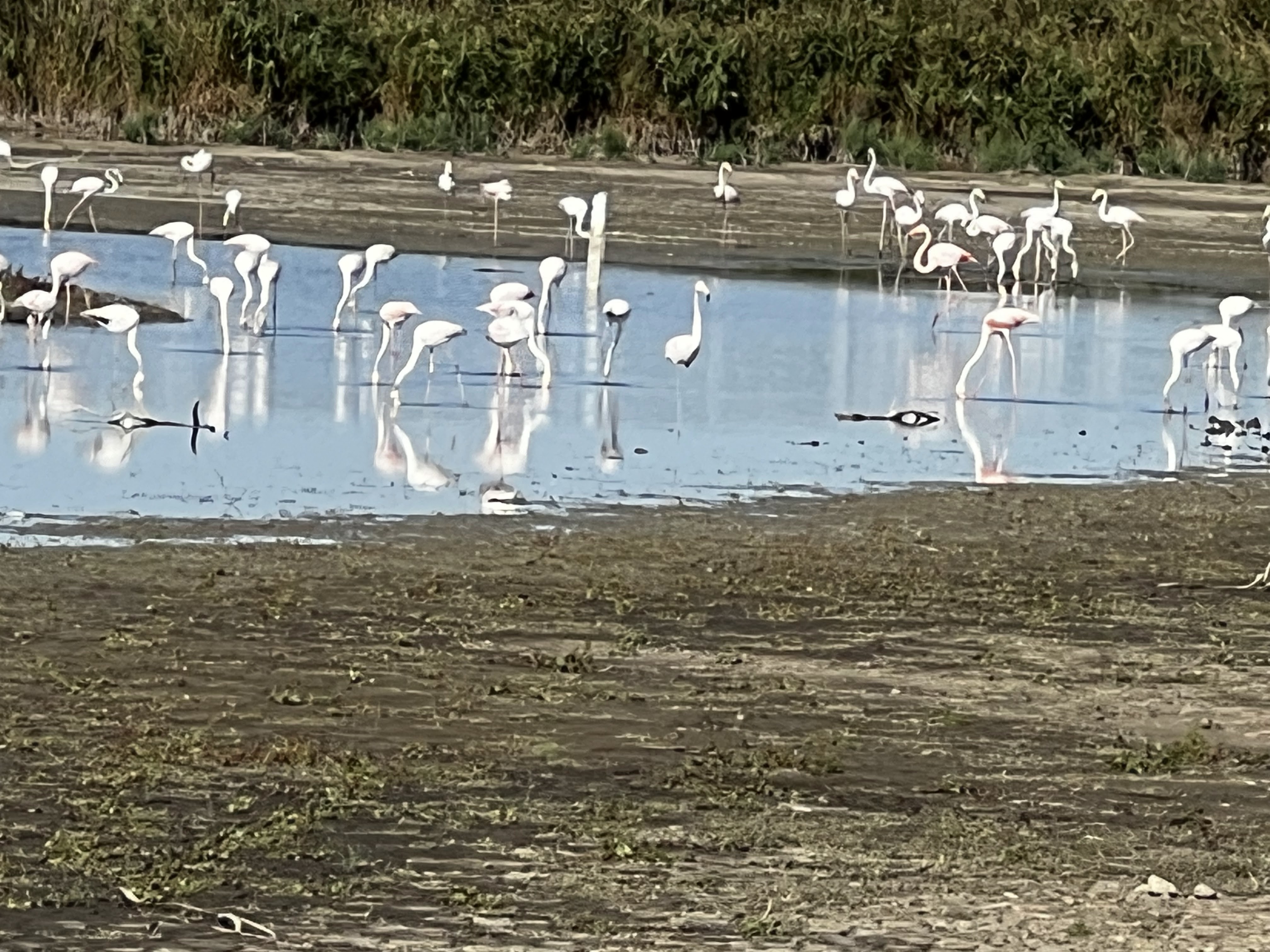 Photo n° 12 de l'avis de Jean-yves.o fait le 09/10/2023 à 14:29