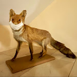 Photo n°1 de l'avis de Andreas.l fait le 07/12/2021 à 06:07 sur le  Haus Kanne à Bad Driburg