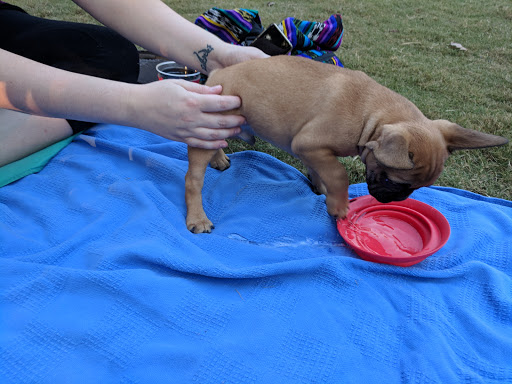 Park «Brook Run Park», reviews and photos, 4770 N Peachtree Rd, Dunwoody, GA 30338, USA