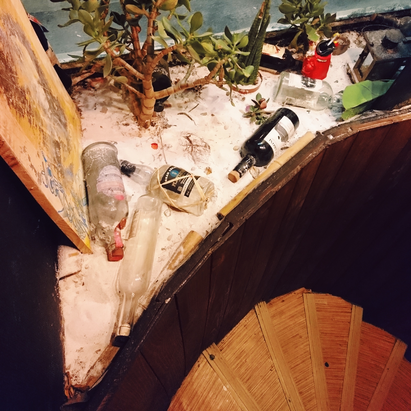 Photo n° 2 de l'avis de Wildlavica. fait le 21/12/2017 à 00:06