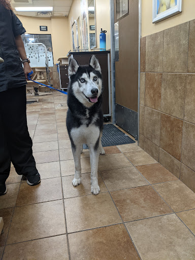 Pet Supply Store «PetSmart», reviews and photos, 11945 Central Ave, Chino, CA 91710, USA