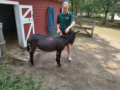 Zoo «Lords Park Zoo», reviews and photos, 325 Hiawatha Dr, Elgin, IL 60120, USA