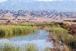 San Jacinto Wildlife Area image