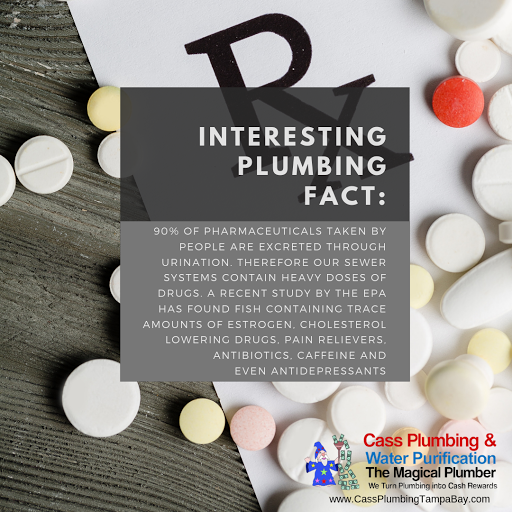 Plumber «Cass Plumbing, Inc.», reviews and photos, 4808 N Hubert Ave, Tampa, FL 33614, USA