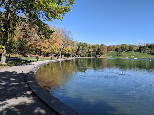 Bungalows campsites Montreal