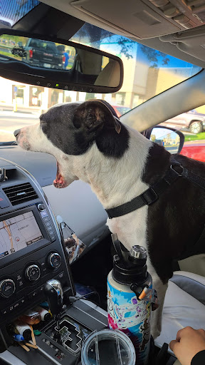 Shopping Mall «Whitehall Crossing Shopping Center», reviews and photos, IN-37, Bloomington, IN 47404, USA