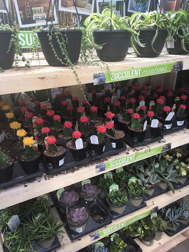 Home Improvement Store «The Home Depot», reviews and photos, 339 Speen St, Natick, MA 01760, USA