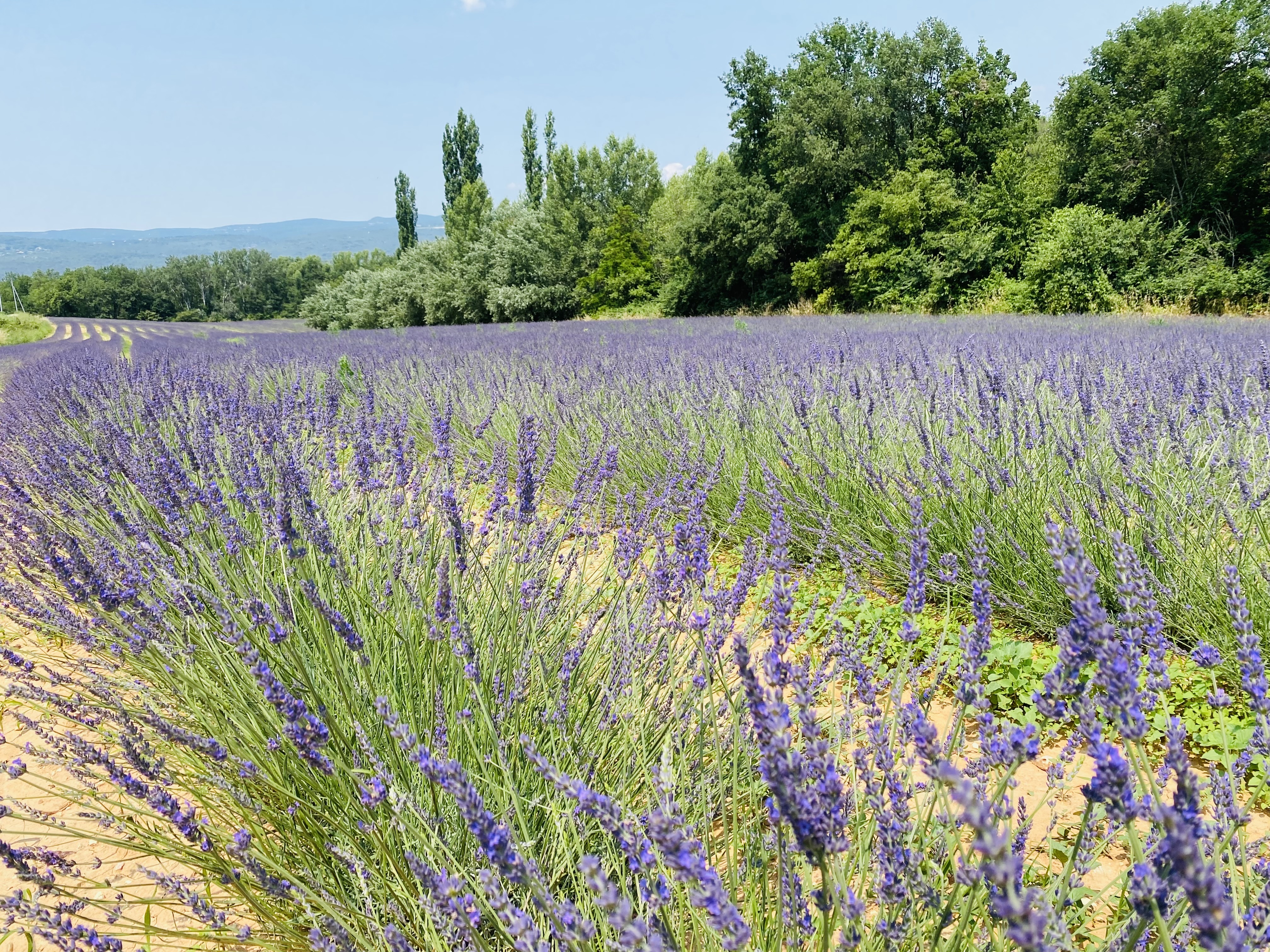 Photo n° 6 de l'avis de Ching-Chun.a fait le 17/06/2023 à 19:02