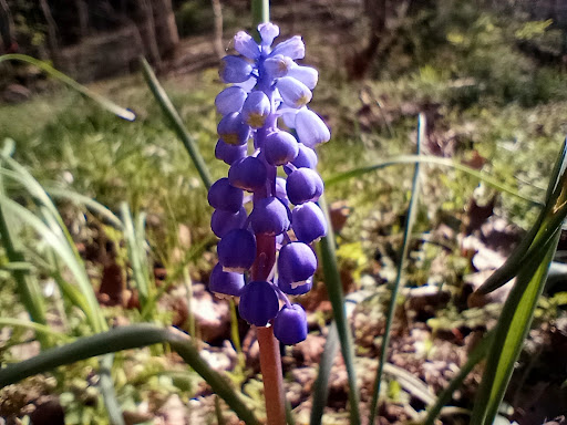 Park «Cave River Valley Park», reviews and photos, 6031-6871 N Cave River Valley Rd, Campbellsburg, IN 47108, USA
