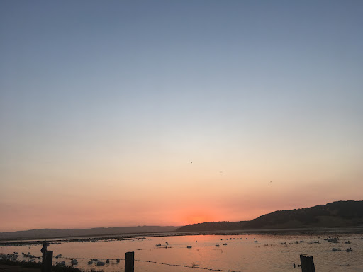 Self-Storage Facility «Public Storage», reviews and photos, 300 Rush Landing Rd, Novato, CA 94945, USA