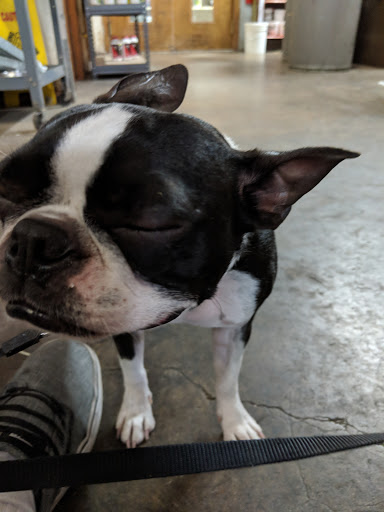 Animal Feed Store «Locke Hill Feed, Pet, & Lawn Supply», reviews and photos, 4927 Golden Quail #105, San Antonio, TX 78240, USA