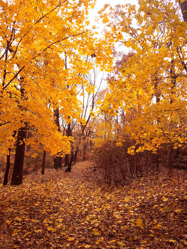 Park «Conant Park», reviews and photos, 310 Conant St, Hillside, NJ 07205, USA