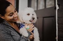 West Loop Wags - Photo 3 - Car repair in , Chicago