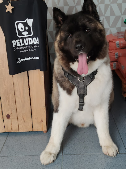 Peludos peluqueria canina - Servicios para mascota en Langraiz Oka