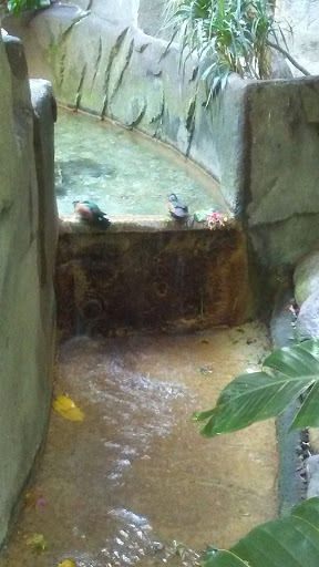 Animal Park «Detroit Zoo Safari Station Exit», reviews and photos, Ludlow Pl, Huntington Woods, MI 48070, USA