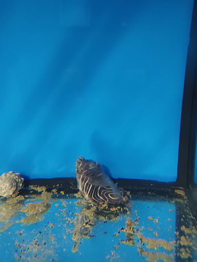 Pet Supply Store «Coastline Pet Supply», reviews and photos, 3530 Northgate Dr, Myrtle Beach, SC 29588, USA