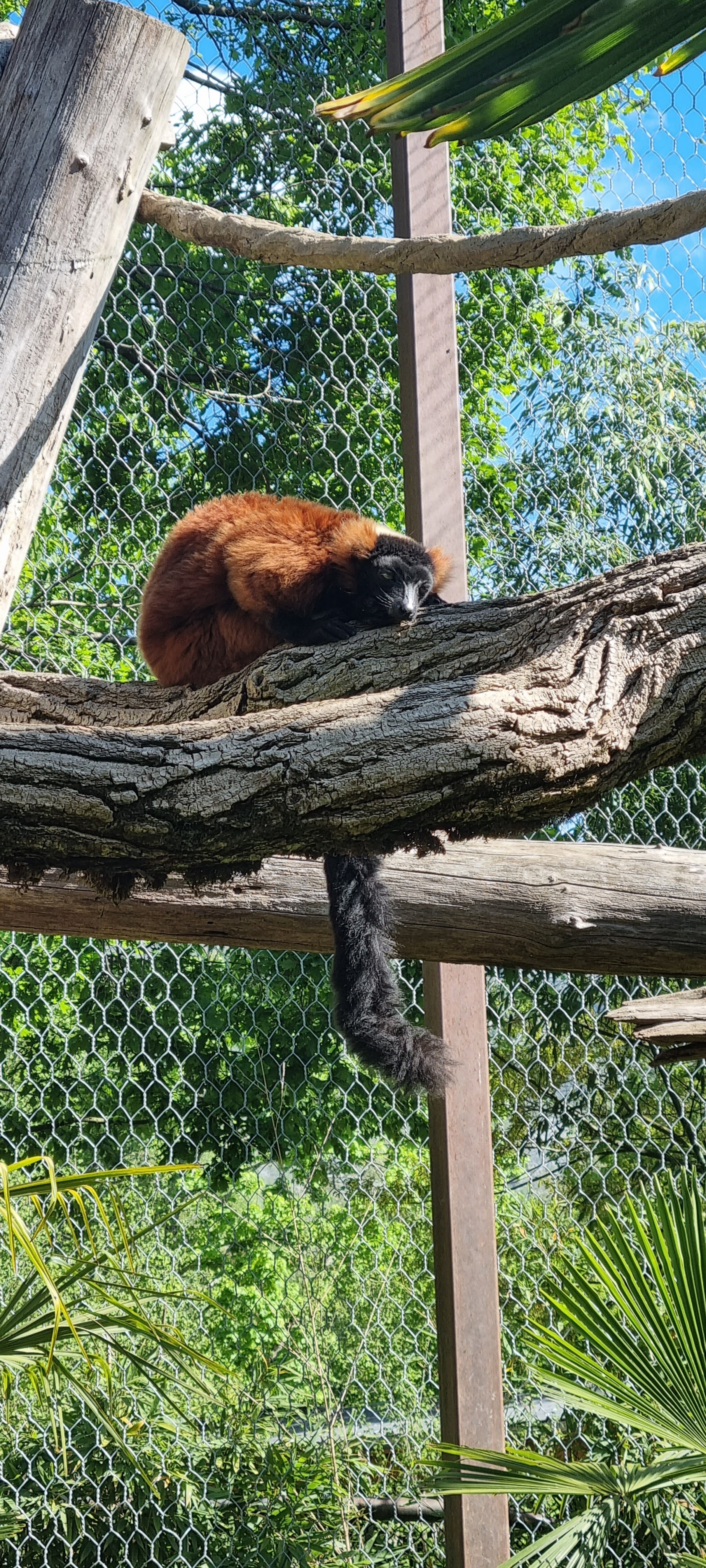 Photo n° 38 de l'avis de Anne.a fait le 25/04/2022 à 13:04