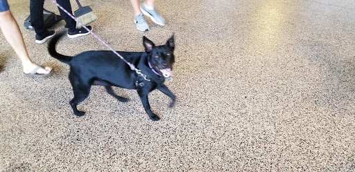 Stadium «BB&T Ballpark», reviews and photos, 324 S Mint St, Charlotte, NC 28202, USA