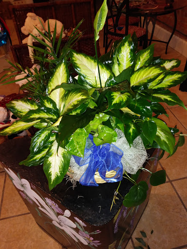 Florist «Blossoms Florist», reviews and photos, 913 N Peak St, Dallas, TX 75204, USA