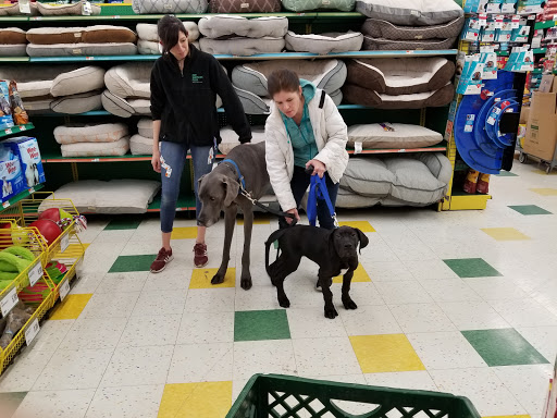 Pet Supply Store «Pet Supplies Plus», reviews and photos, 3100 Manchester Rd, Akron, OH 44319, USA