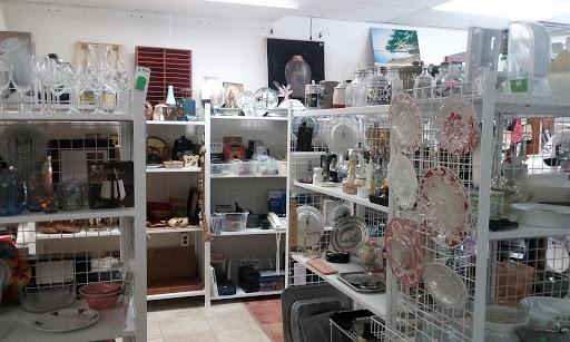 Thrift Store «Throw Back Thrift», reviews and photos, 1344 Easton Rd, Abington, PA 19001, USA