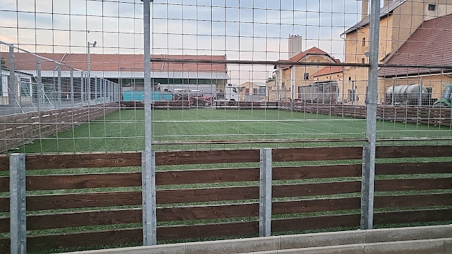 Fotbalová Farma Vědomice - Ústí nad Labem