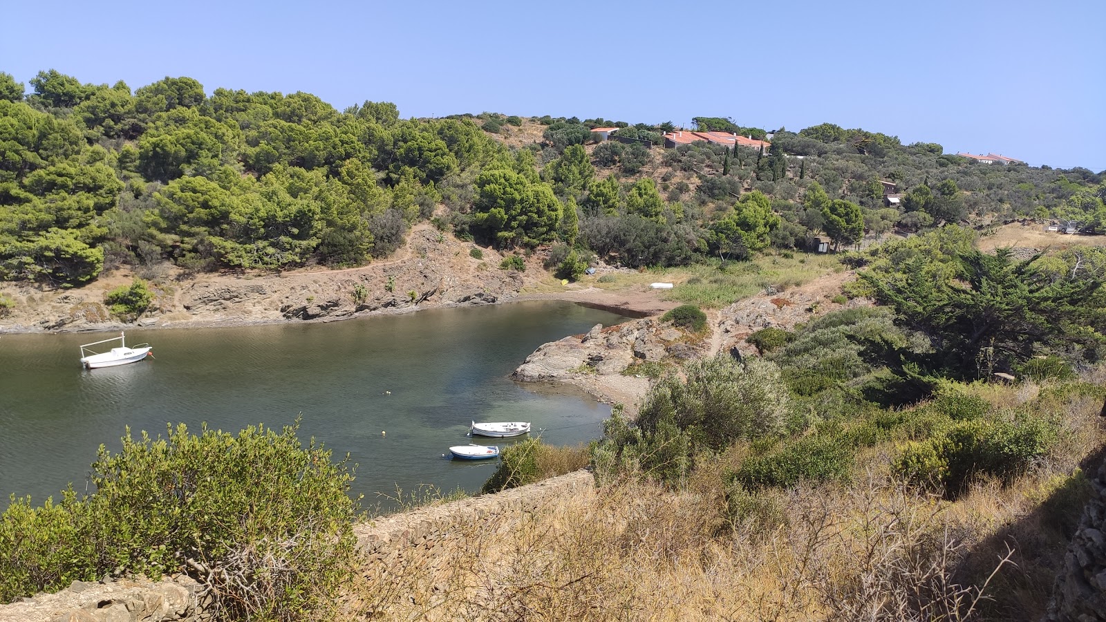 Photo de Platja des Calders avec un niveau de propreté de très propre