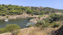 Photo de Platja des Calders avec un niveau de propreté de très propre