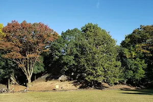 Yamazaki Natural Park image