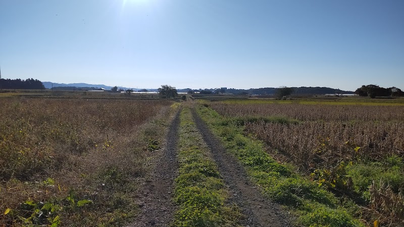 旧日本陸軍 金丸原飛行場 滑走路跡地