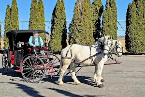 Yakima Valley Carriage Company image