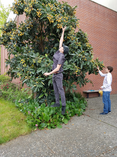 Santa Rosa Junior College image