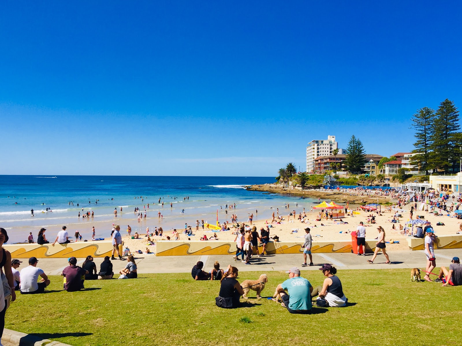 Zdjęcie South Cronulla Beach z przestronna linia brzegowa