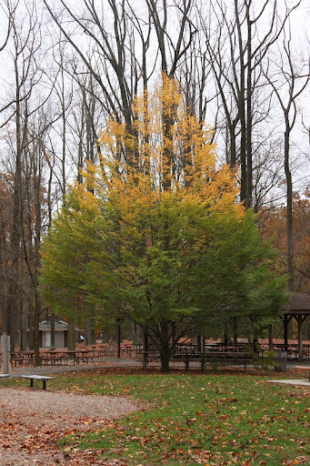 Park «Saddle River Park», reviews and photos, Dunkerhook Rd, Paramus, NJ 07652, USA