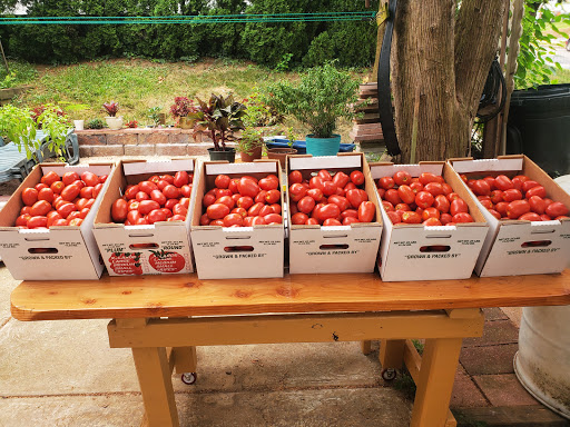 Grocery Store «Grasso Girls Farm Market», reviews and photos, 353 Wolfert Station Rd, Mullica Hill, NJ 08062, USA