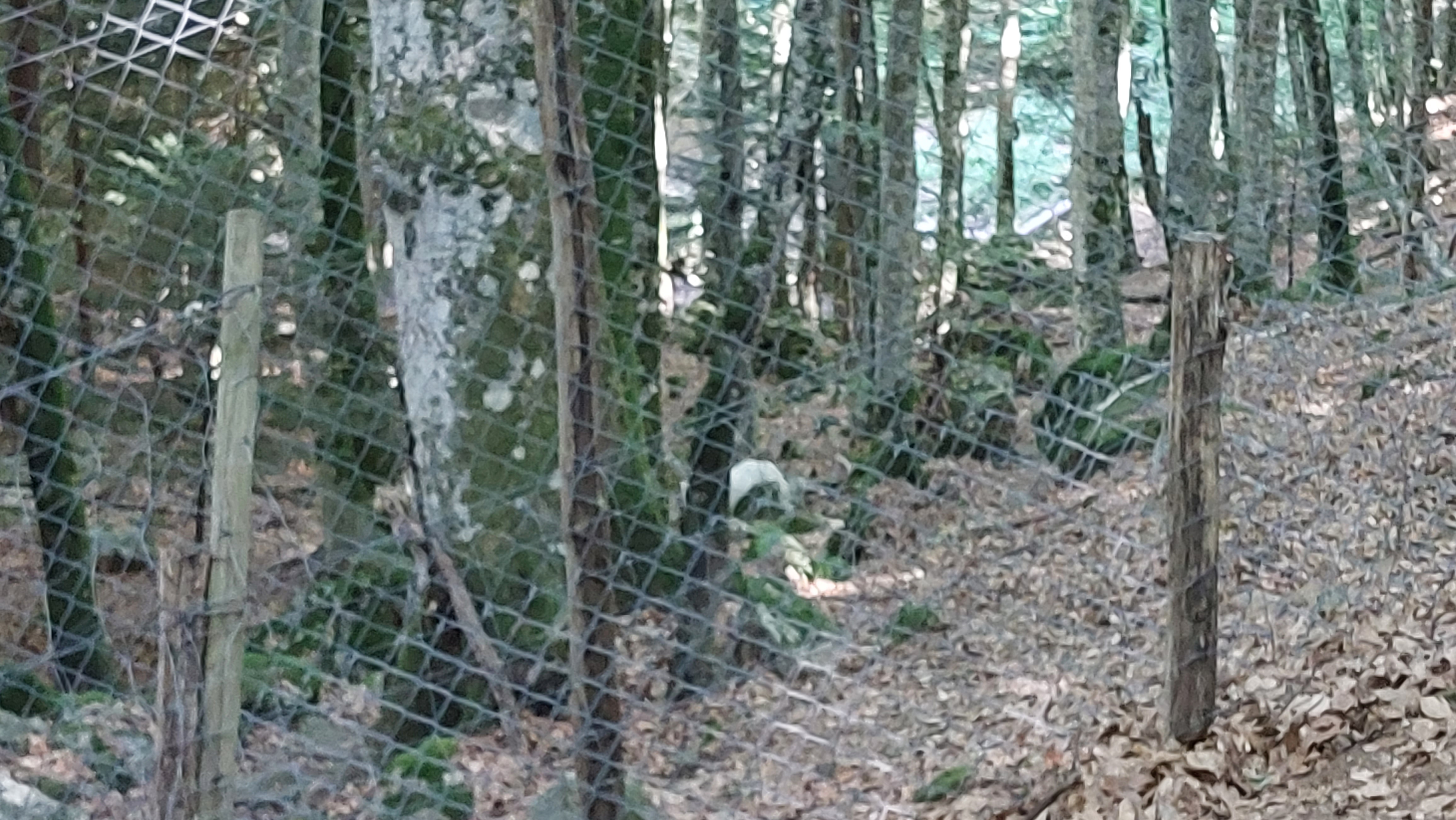 Photo n° 2 de l'avis de Stéphane.e fait le 14/08/2022 à 16:18