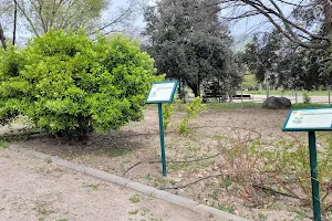 Pradolongo Botanical Garden image