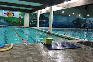 Aquatic Exercise Noble image