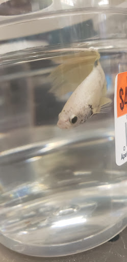 Pet Supply Store «Pet Supplies Plus», reviews and photos, 34370 Aurora Rd, Solon, OH 44136, USA