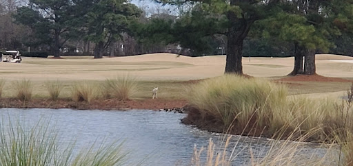 Golf Club «OBX Golf Course | The Pointe Golf Club», reviews and photos, 308 Pointe Golf Club Dr, Powells Point, NC 27966, USA