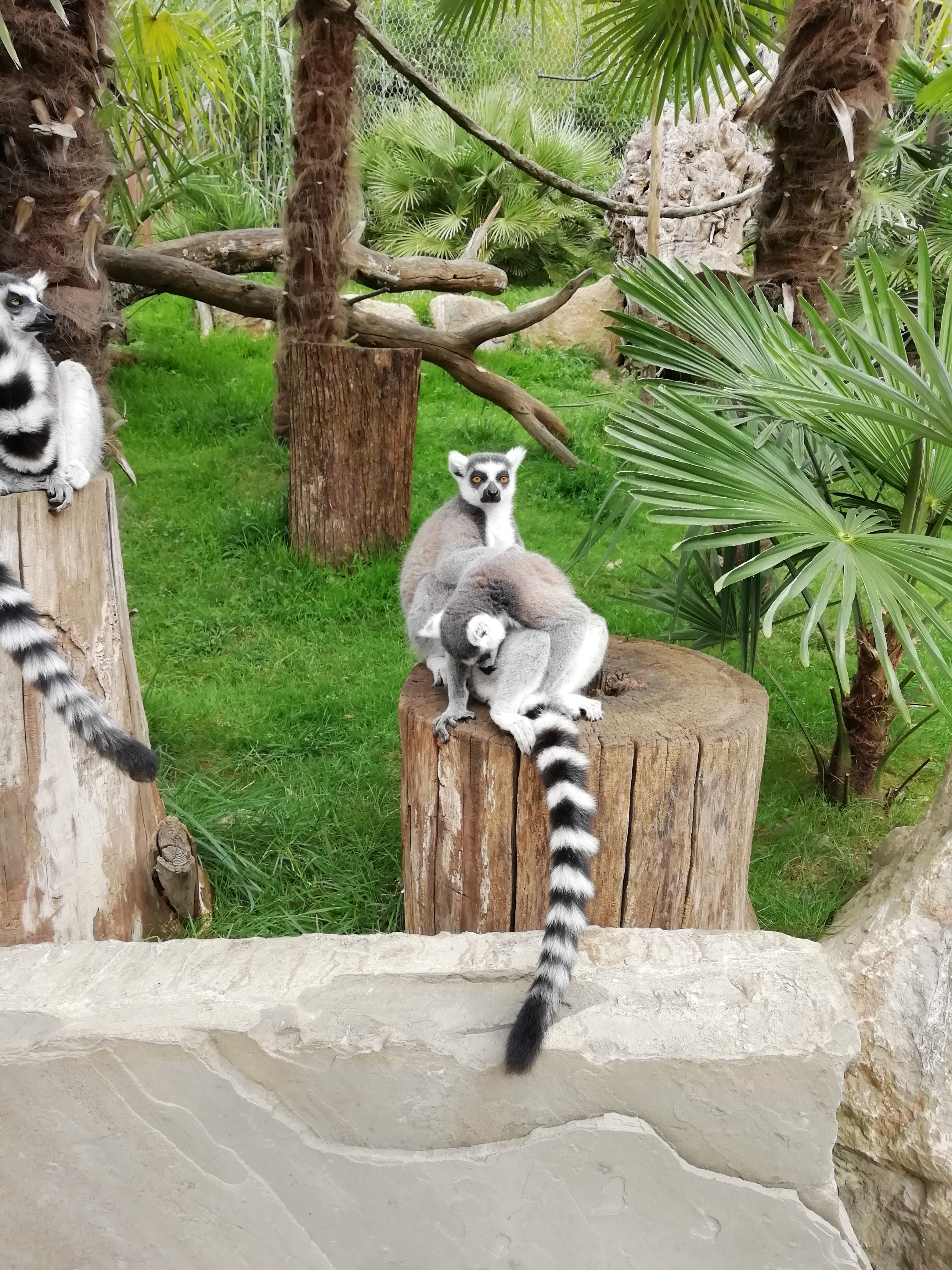 Photo n° 2 de l'avis de Christophe.e fait le 07/09/2022 à 20:35