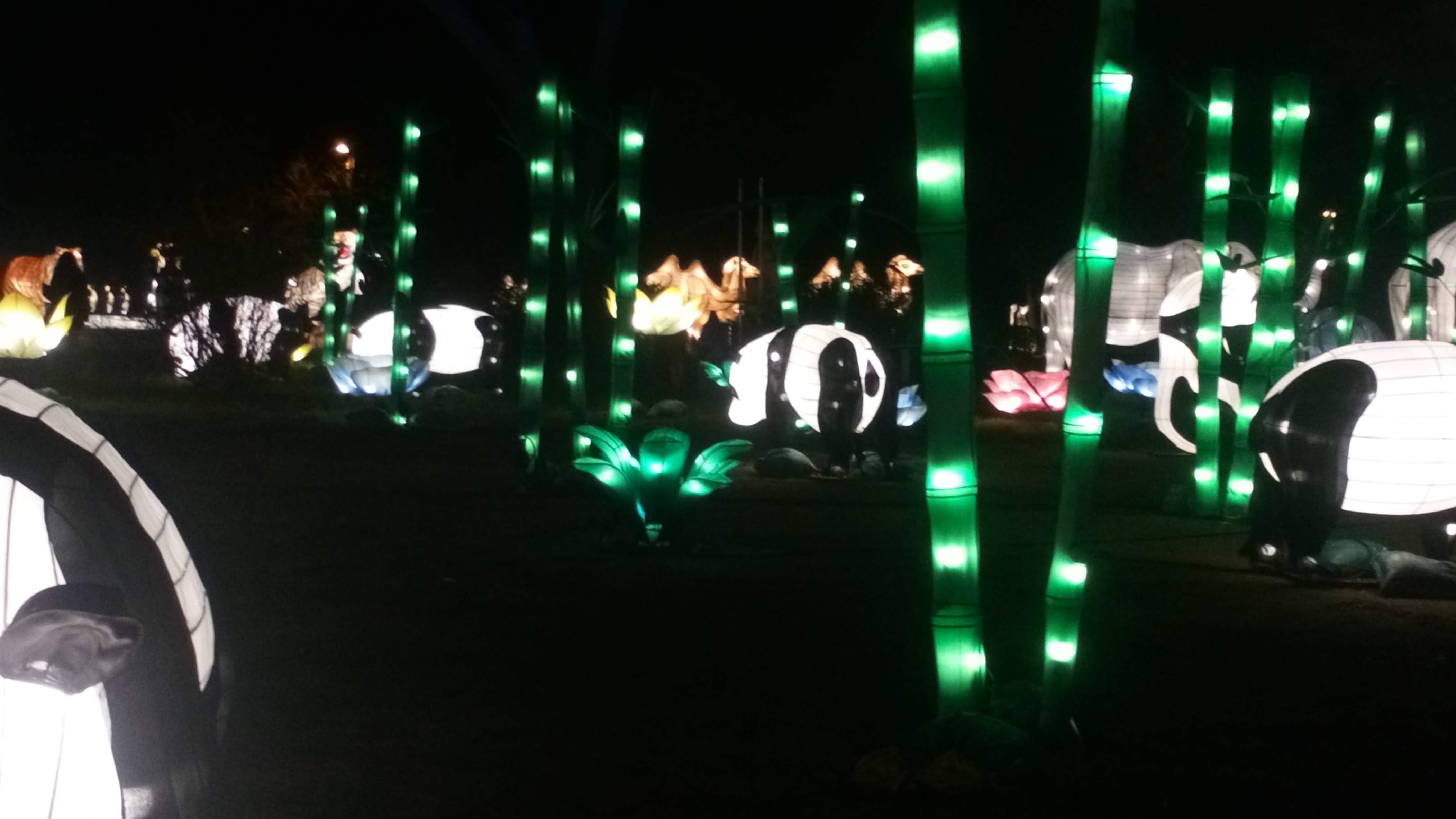 Photo n° 6 de l'avis de Veronique.A fait le 31/12/2019 à 19:05