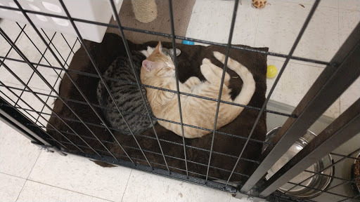 Pet Supply Store «Pet Supplies Plus», reviews and photos, 15034 San Pedro Ave Suite A, San Antonio, TX 78232, USA