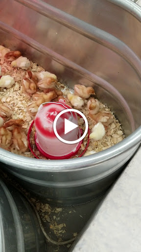 Home Improvement Store «Tractor Supply Co.», reviews and photos, 1503 E Main St, Waynesboro, PA 17268, USA