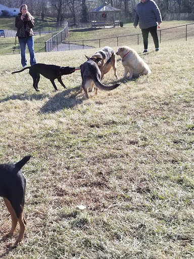 Dog Park «New Albany Dog Park», reviews and photos, 1935 Budd Rd, New Albany, IN 47150, USA