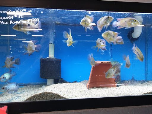 Pet Store «Pet Kingdom», reviews and photos, 3191 Sports Arena Blvd, San Diego, CA 92110, USA